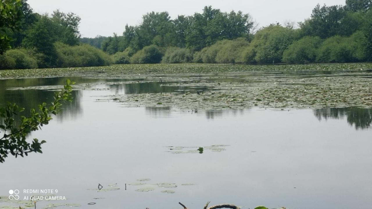 Maison De Ferme Au Calme Jusqu'A 10 Personnes Gannay-sur-Loire Luaran gambar